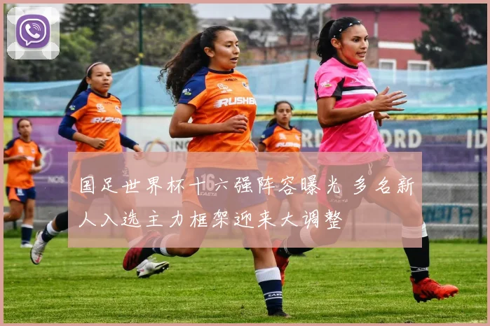 国足世界杯十六强阵容曝光 多名新人入选主力框架迎来大调整